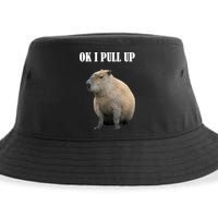 Ok I Pull Up Capybara Funny Sustainable Bucket Hat