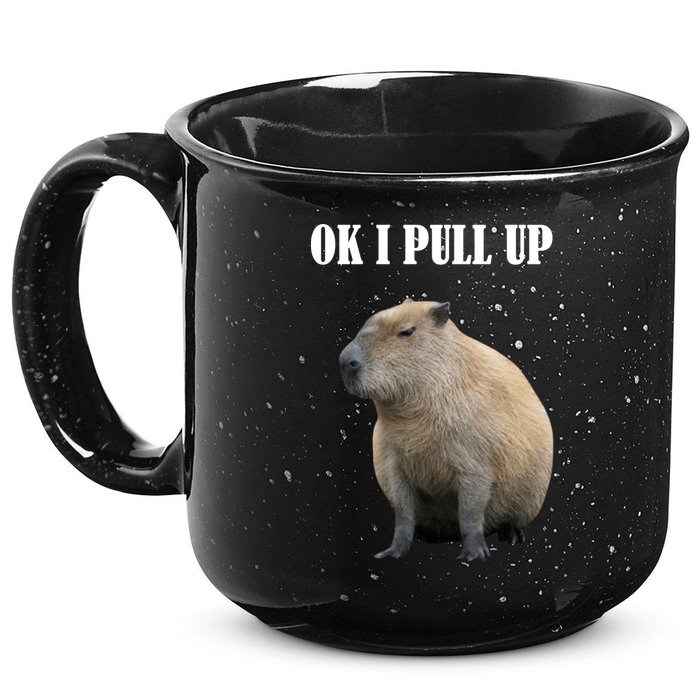 Ok I Pull Up Capybara Funny 15oz Campfire Ceramic Mug