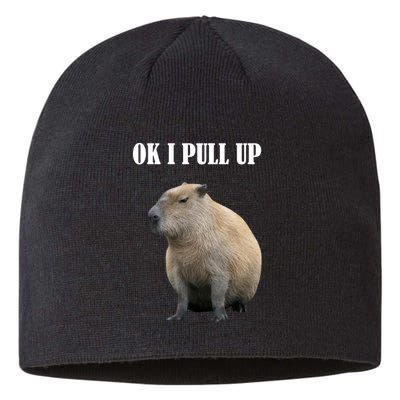 Ok I Pull Up Capybara Funny Sustainable Beanie