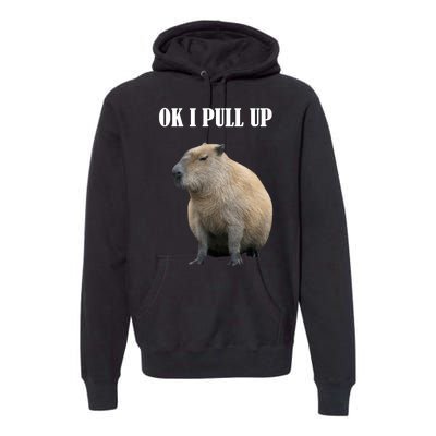 Ok I Pull Up Capybara Funny Premium Hoodie