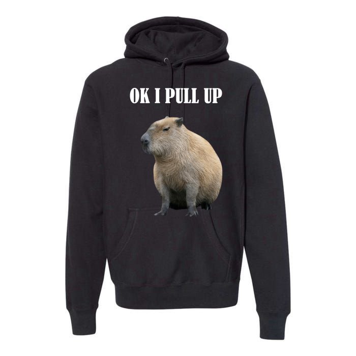 Ok I Pull Up Capybara Funny Premium Hoodie