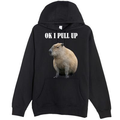 Ok I Pull Up Capybara Funny Premium Pullover Hoodie