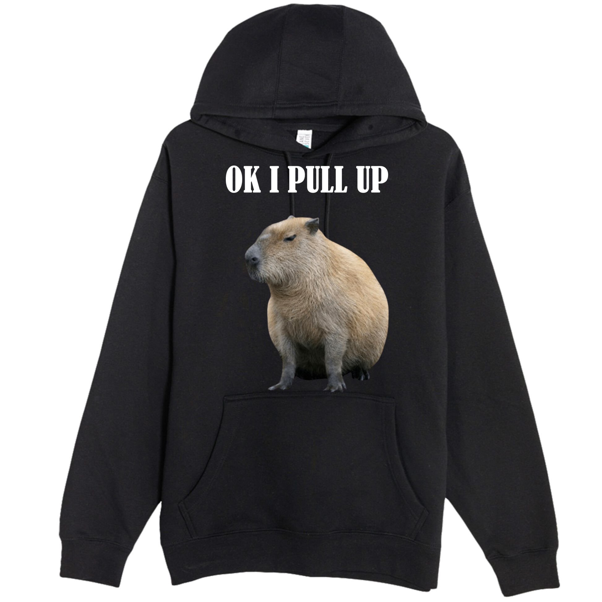 Ok I Pull Up Capybara Funny Premium Pullover Hoodie