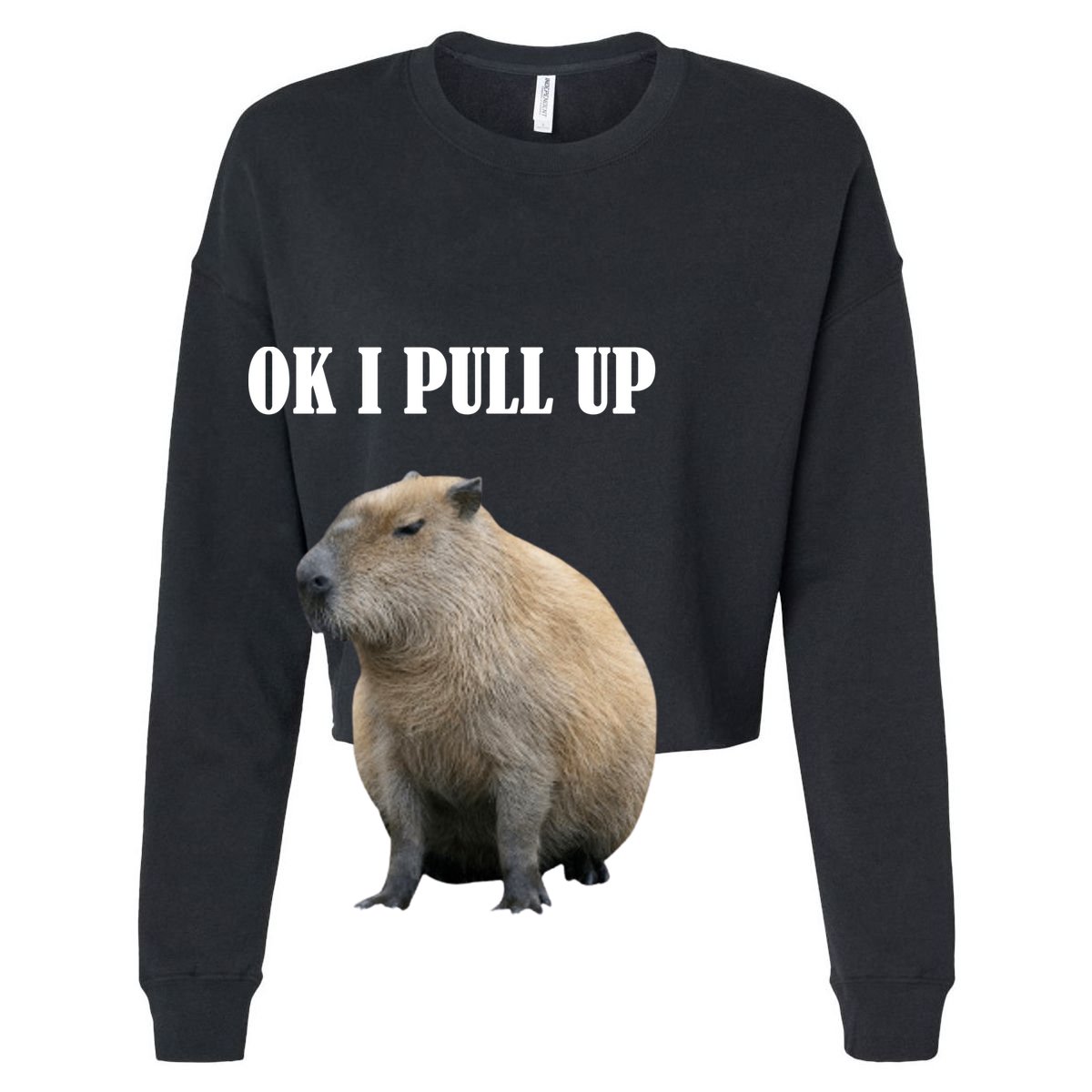 Ok I Pull Up Capybara Funny 12oz Stainless Steel Coffee Mug