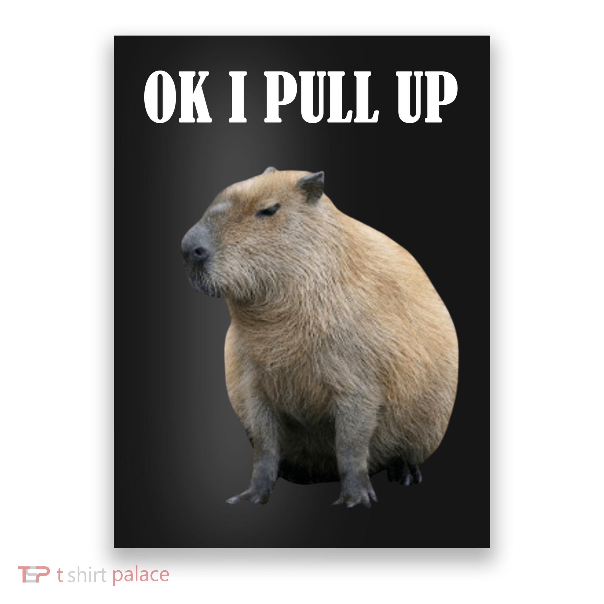 Ok I Pull Up Capybara Funny Poster