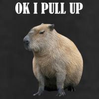 Ok I Pull Up Capybara Funny Hat