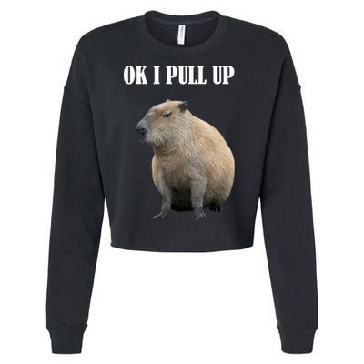 Ok I Pull Up Capybara Funny Cropped Pullover Crew