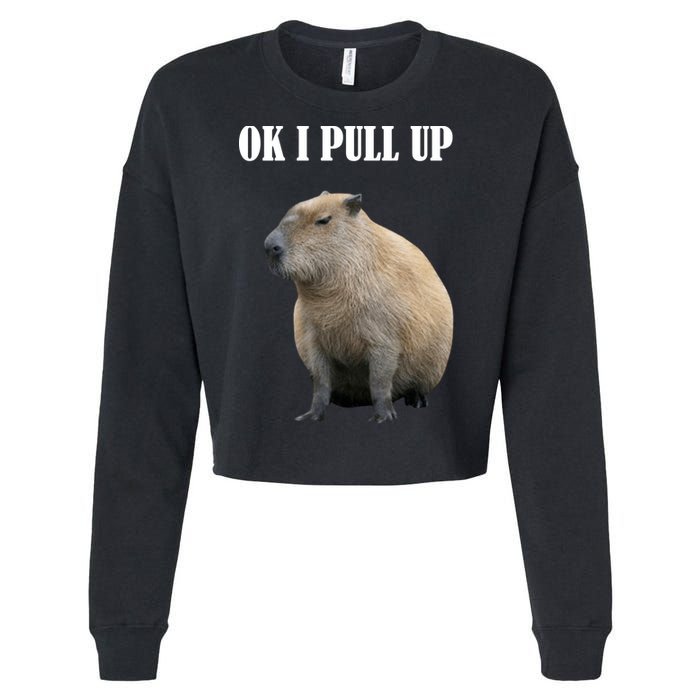 Ok I Pull Up Capybara Funny Cropped Pullover Crew