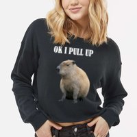 Ok I Pull Up Capybara Funny Cropped Pullover Crew