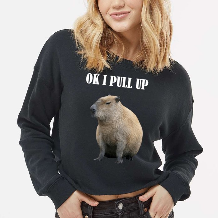 Ok I Pull Up Capybara Funny Cropped Pullover Crew