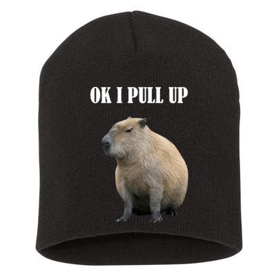 Ok I Pull Up Capybara Funny Short Acrylic Beanie