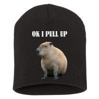 Ok I Pull Up Capybara Funny Short Acrylic Beanie