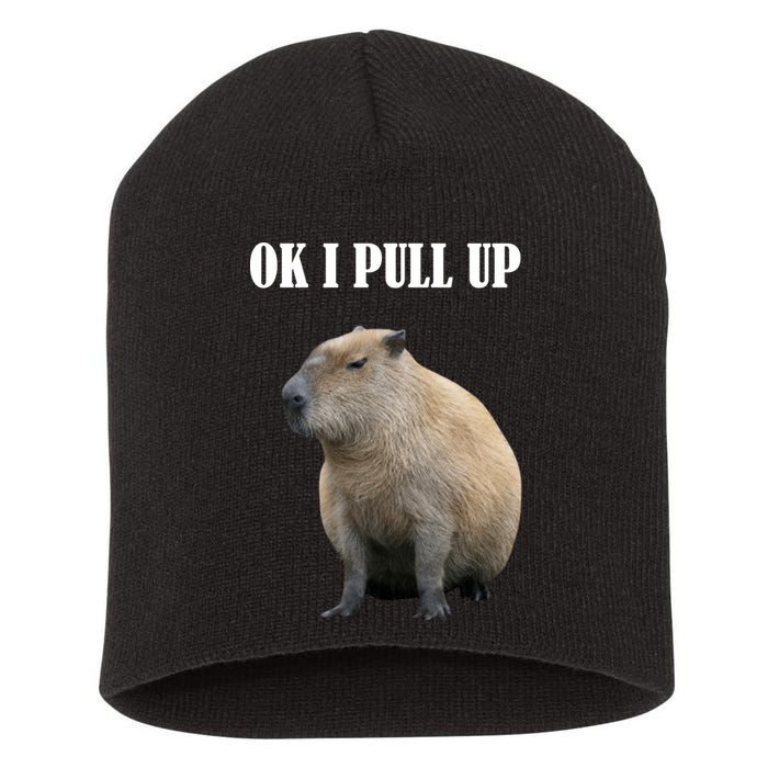 Ok I Pull Up Capybara Funny Short Acrylic Beanie