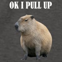 Ok I Pull Up Capybara Funny Vector Backpack