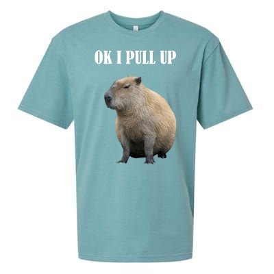 Ok I Pull Up Capybara Funny Sueded Cloud Jersey T-Shirt