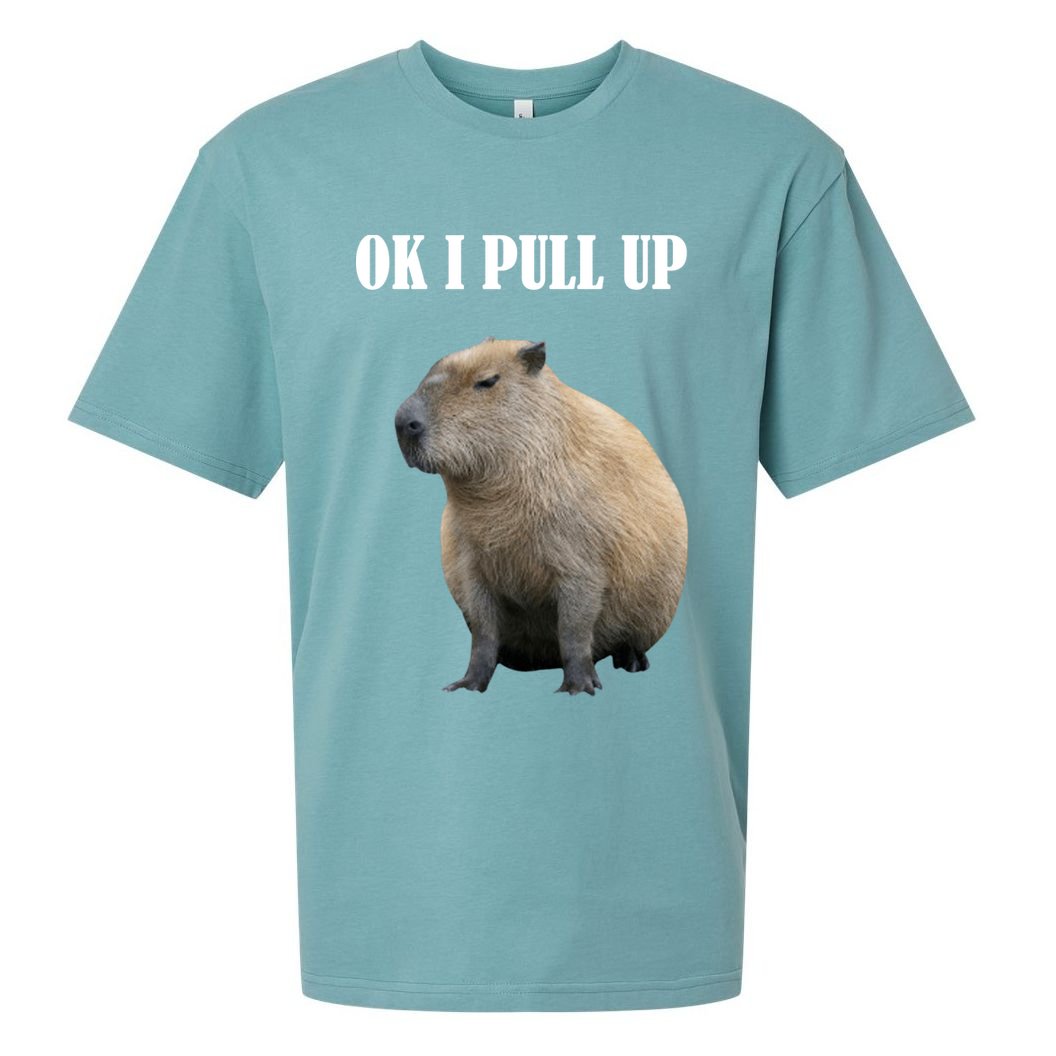 Ok I Pull Up Capybara Funny Sueded Cloud Jersey T-Shirt