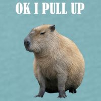 Ok I Pull Up Capybara Funny Sueded Cloud Jersey T-Shirt