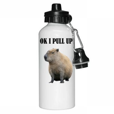 Ok I Pull Up Capybara Funny Aluminum Water Bottle