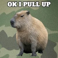 Ok I Pull Up Capybara Legacy Tie Dye Trucker Hat