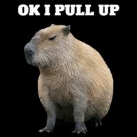 Ok I Pull Up Capybara 7-Panel Snapback Hat
