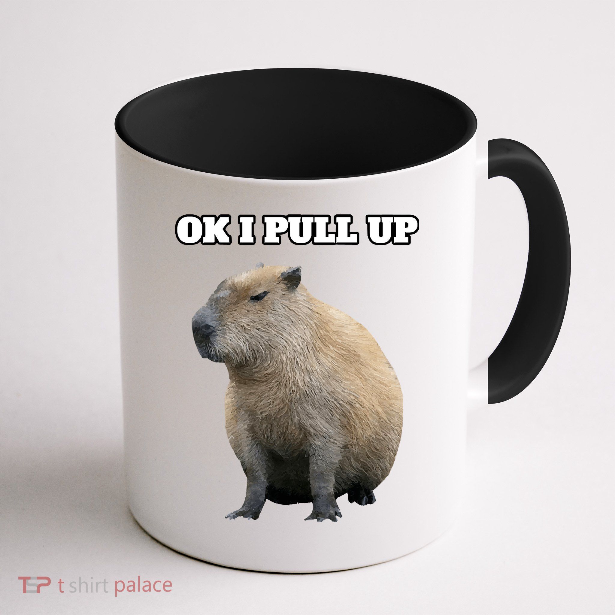 Ok I Pull Up Capybara Mug