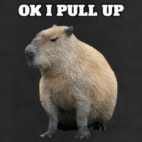 Ok I Pull Up Capybara 15oz Campfire Ceramic Mug