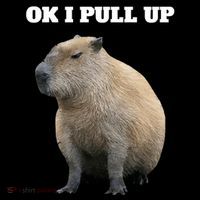 Ok I Pull Up Capybara Drawstring Bag