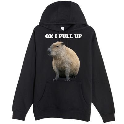 Ok I Pull Up Capybara Premium Pullover Hoodie