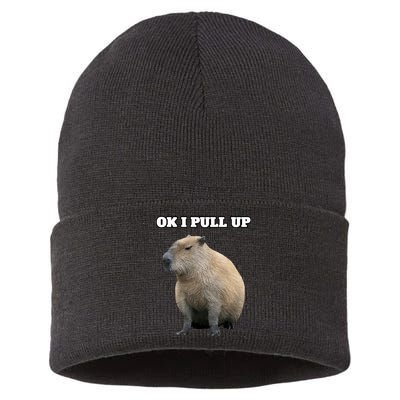 Ok I Pull Up Capybara Sustainable Knit Beanie