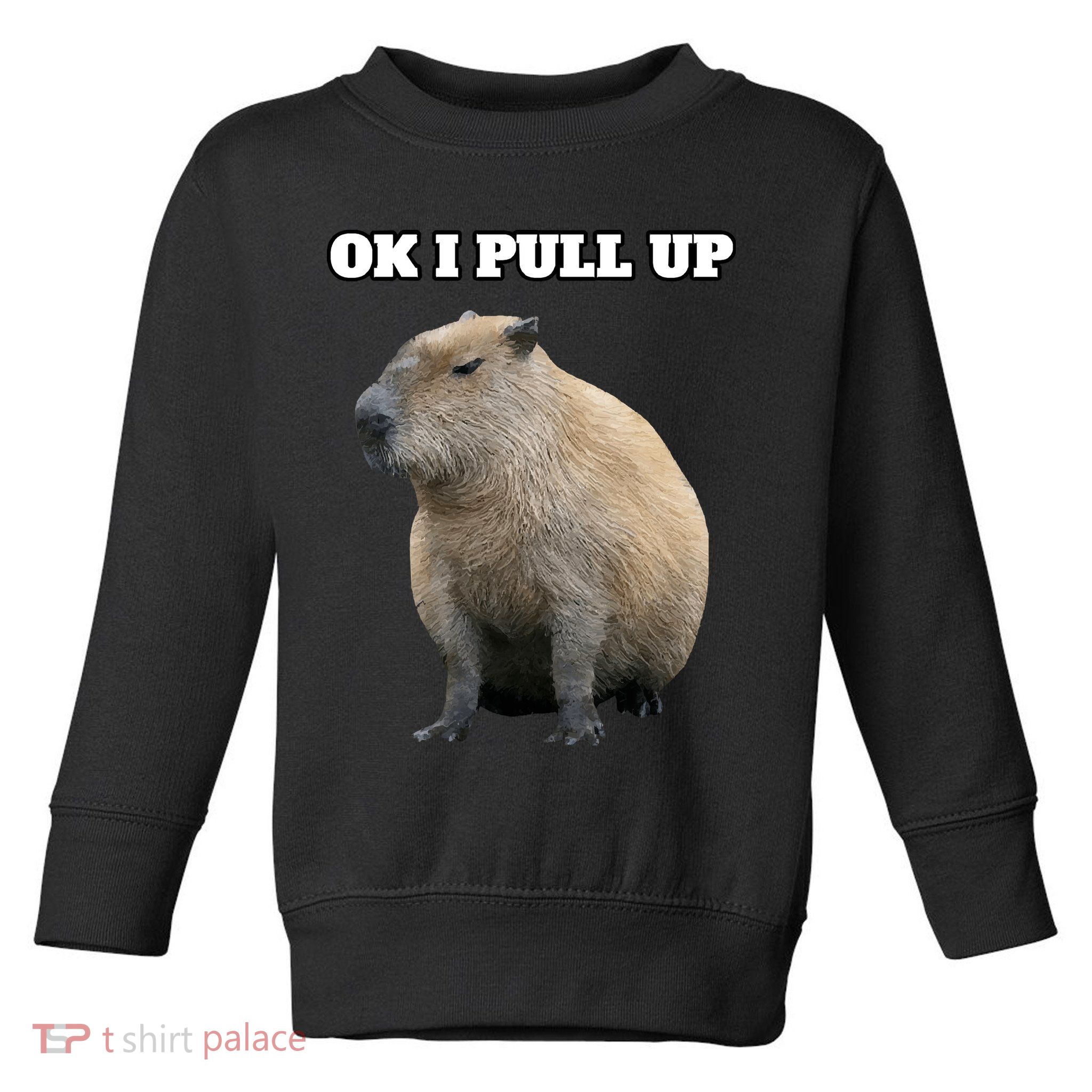 Ok I Pull Up Capybara Toddler Sweatshirt