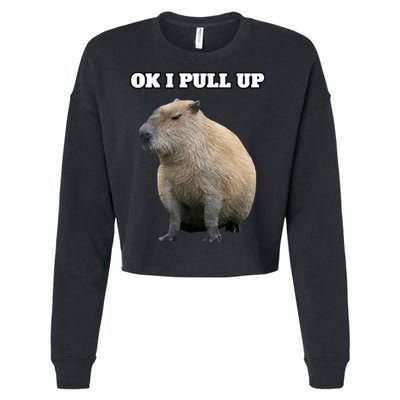 Ok I Pull Up Capybara Cropped Pullover Crew