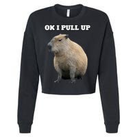 Ok I Pull Up Capybara Cropped Pullover Crew