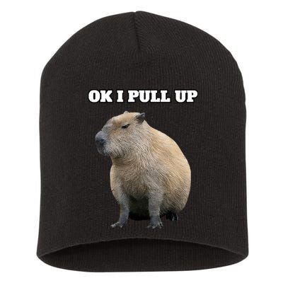 Ok I Pull Up Capybara Short Acrylic Beanie