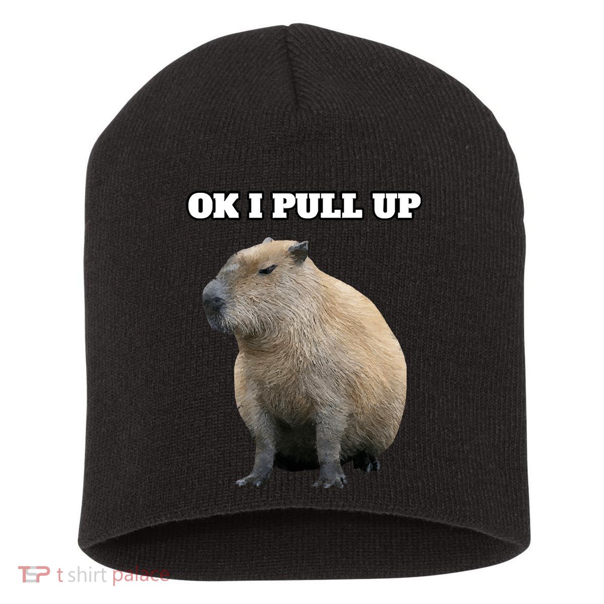 Ok I Pull Up Capybara Short Acrylic Beanie