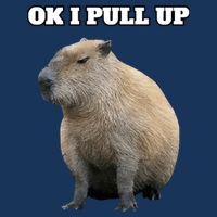 Ok I Pull Up Capybara Infant Baby Jersey Bodysuit