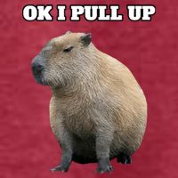 Ok I Pull Up Capybara Pom Pom 12in Knit Beanie