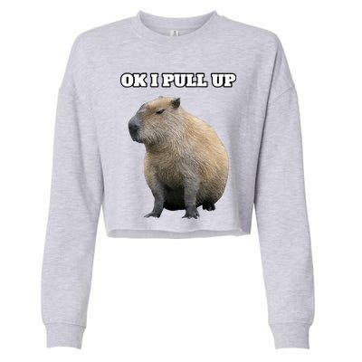 Ok I Pull Up Capybara Cropped Pullover Crew