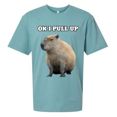 Ok I Pull Up Capybara Sueded Cloud Jersey T-Shirt