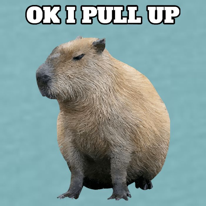 Ok I Pull Up Capybara Sueded Cloud Jersey T-Shirt