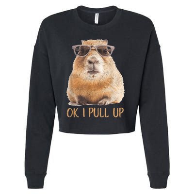 Ok I Pull Up Capybara Cropped Pullover Crew