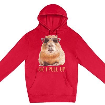 Ok I Pull Up Capybara Premium Pullover Hoodie