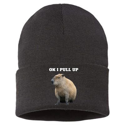 Ok I Pull Up Capybara Sustainable Knit Beanie