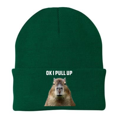 Ok I Pull Up Capybara Knit Cap Winter Beanie