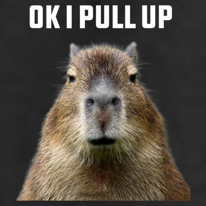 Ok I Pull Up Capybara Garment-Dyed Fleece Hoodie