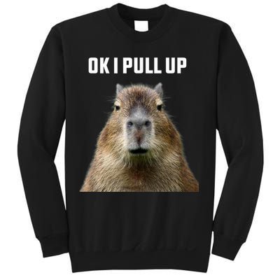 Ok I Pull Up Capybara Sweatshirt
