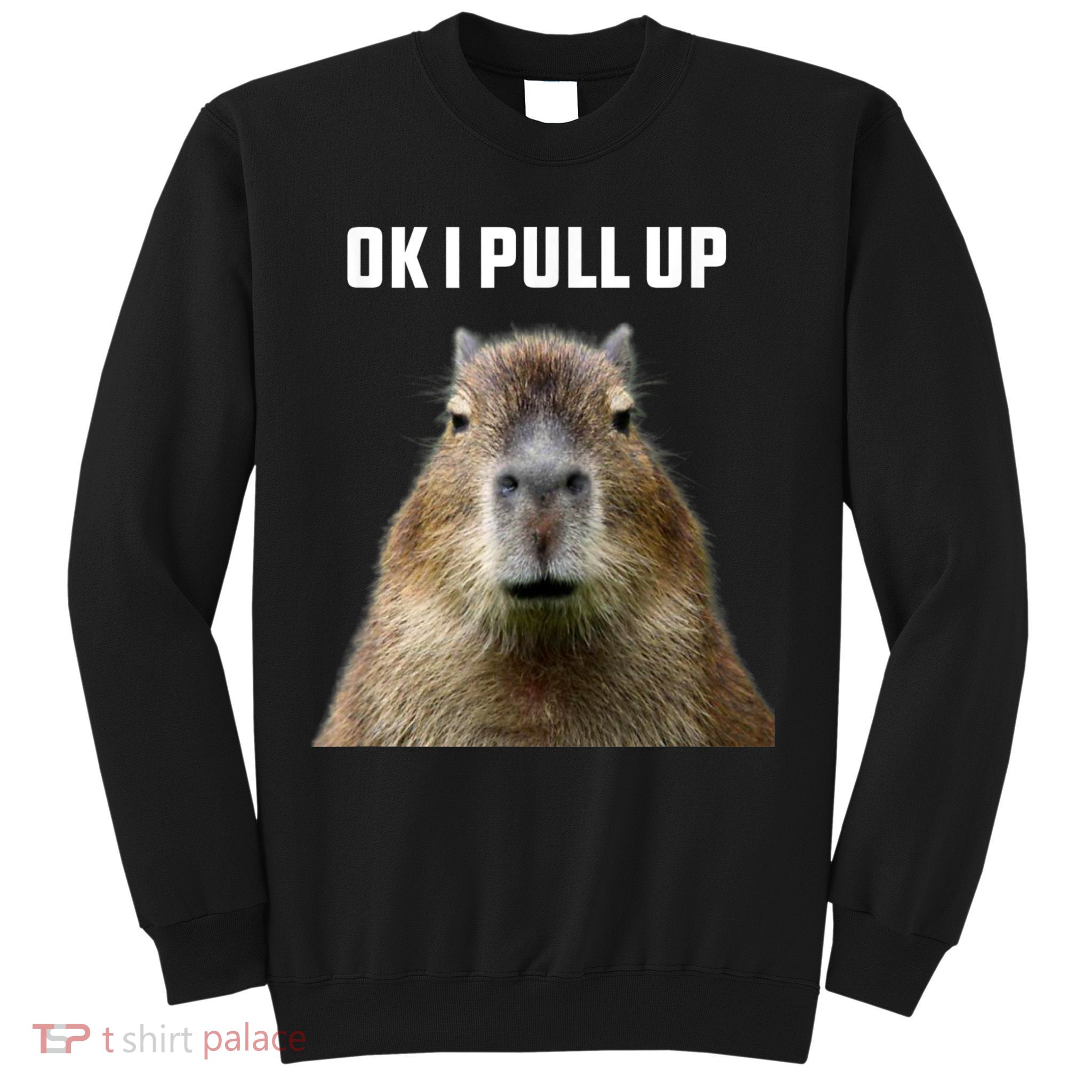 Ok I Pull Up Capybara Sweatshirt