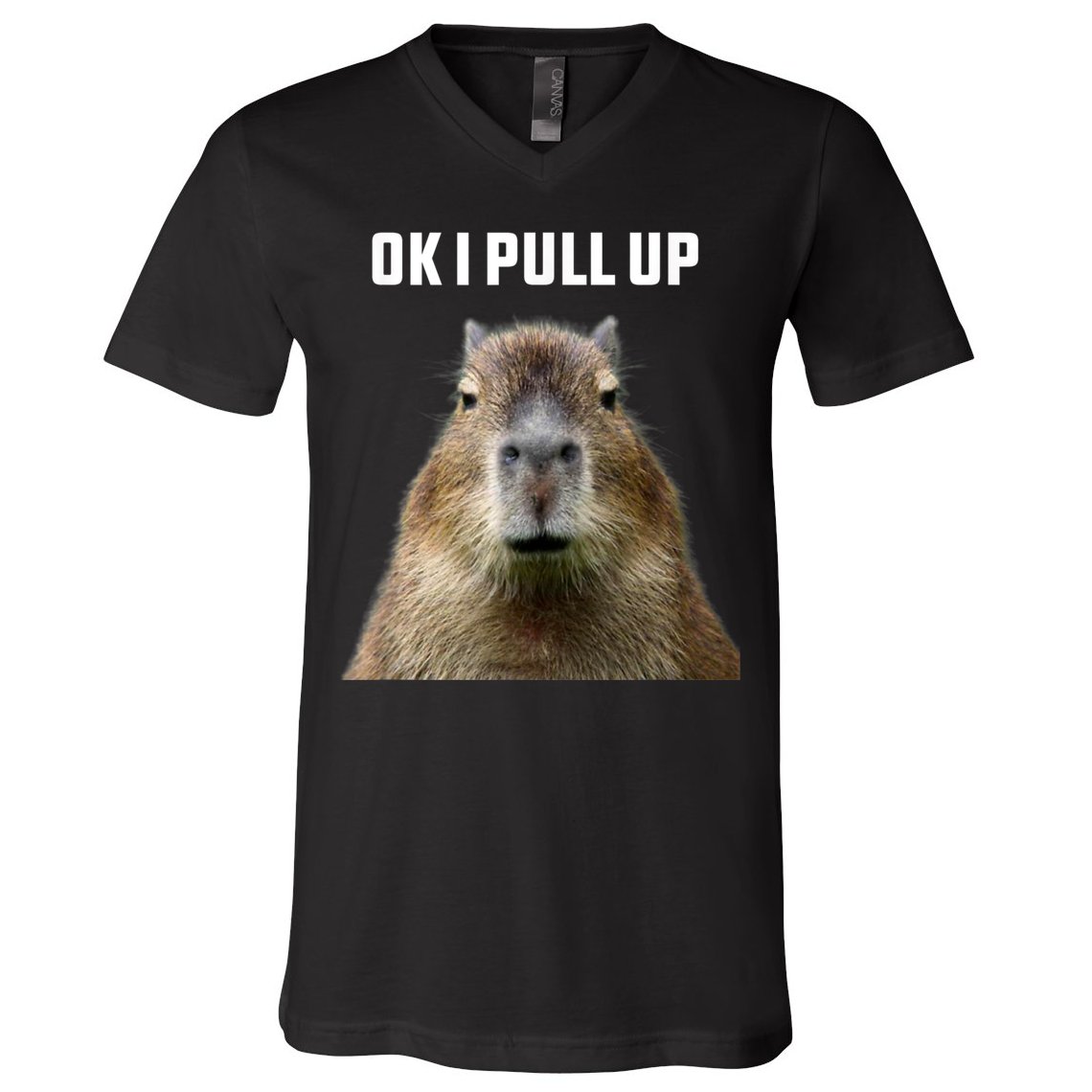 Ok I Pull Up Capybara V-Neck T-Shirt