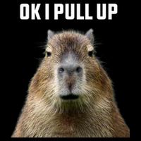 Ok I Pull Up Capybara 7-Panel Snapback Hat