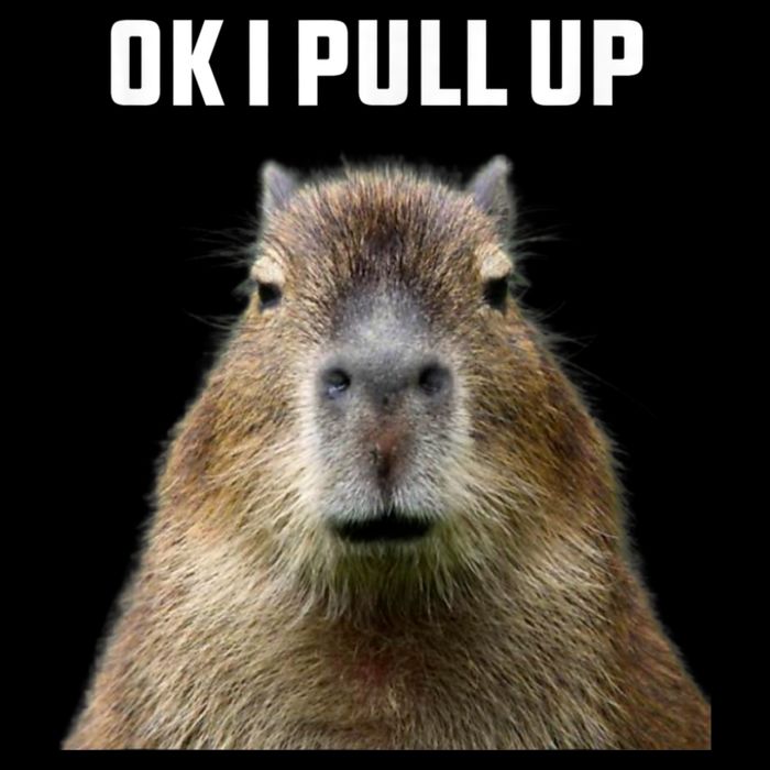 Ok I Pull Up Capybara 7-Panel Snapback Hat