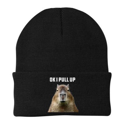 Ok I Pull Up Capybara Beanie